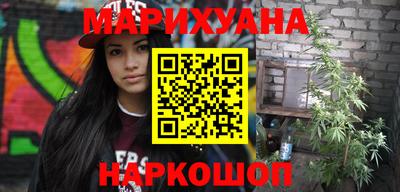 сатива Кандалакша