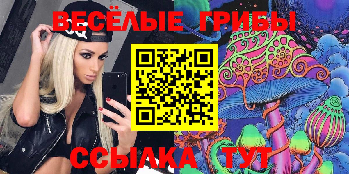 Псилоцибиновые грибы Psilocybe Красный Сулин